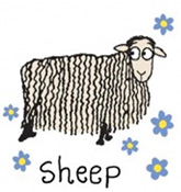 Sheep