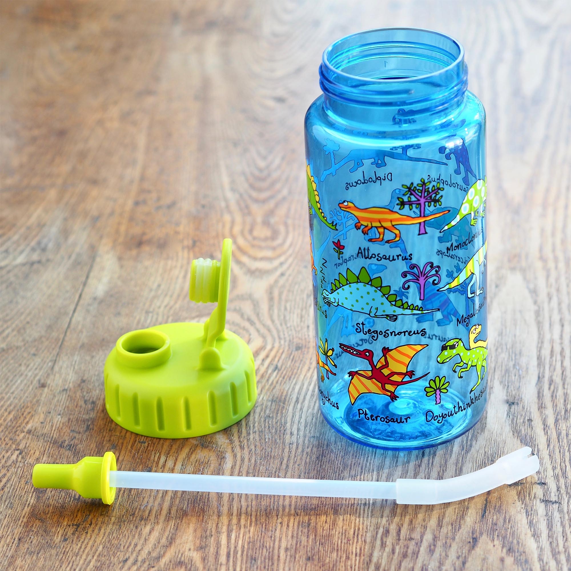 Kids Dinosaurs Drinking Bottle with straw