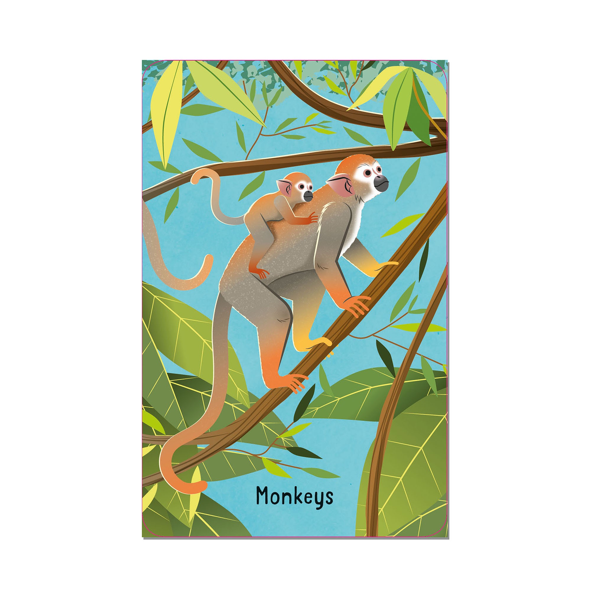 Animals Snap Card Game 