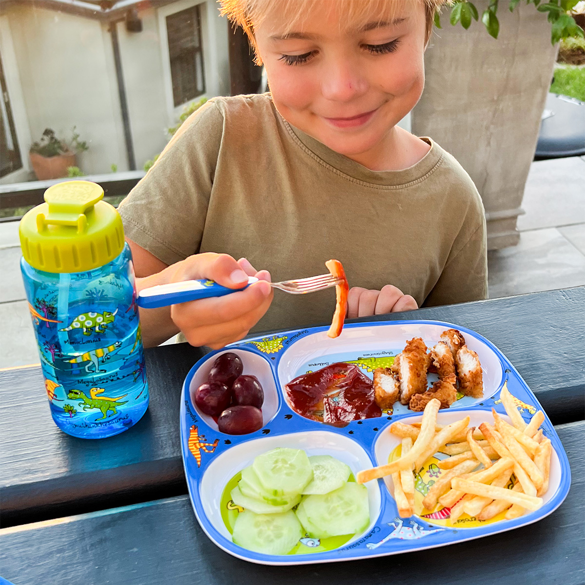 Dinosaurs Divider Plate