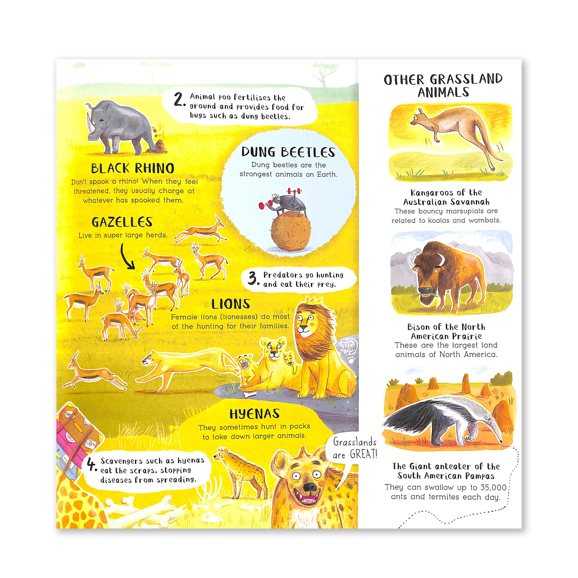 Do You Love Exploring? paperback book