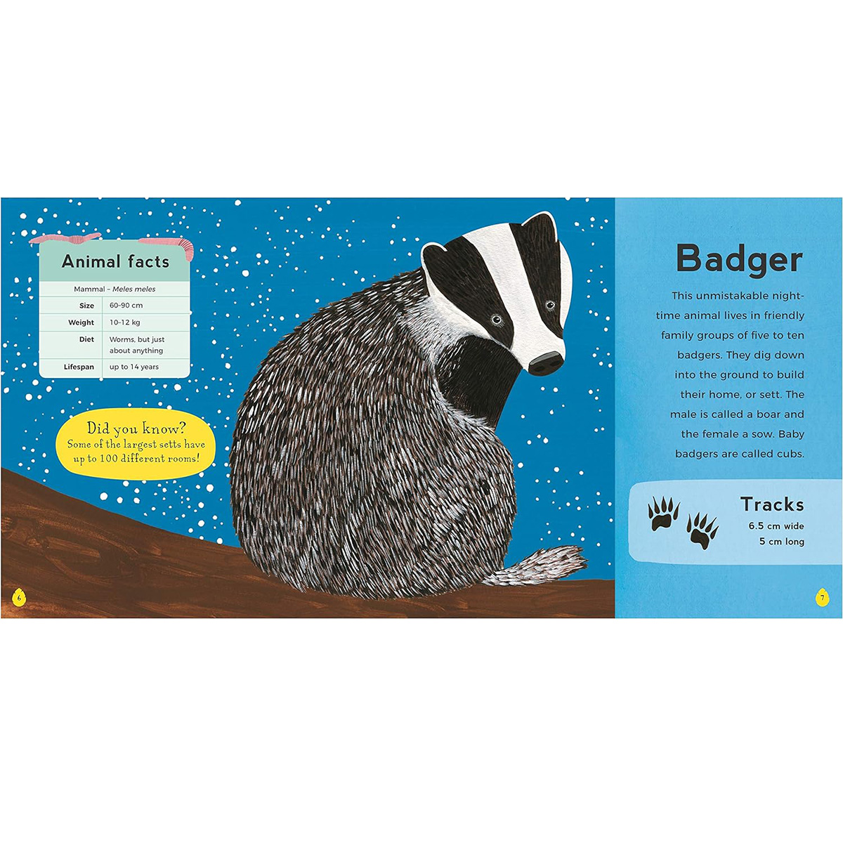 My First Book of Woodland Animals