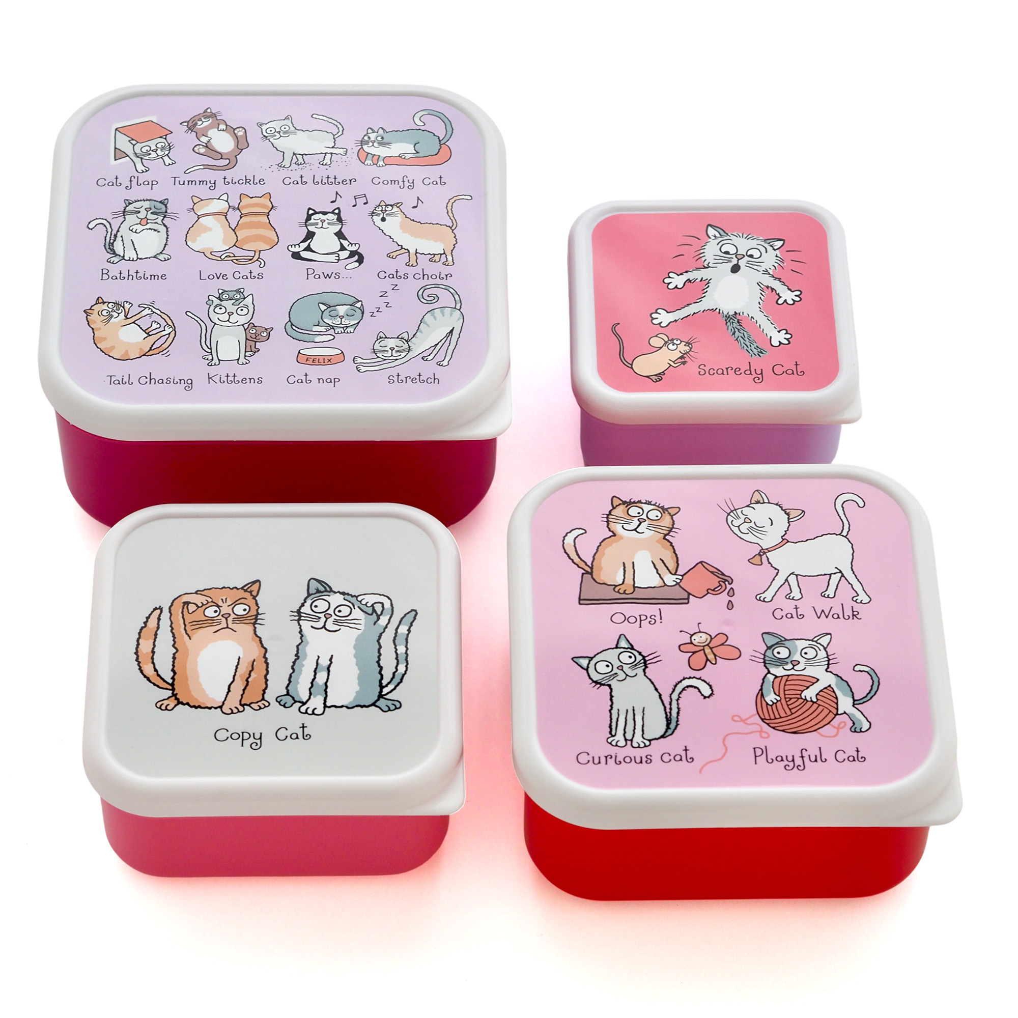 Cats Snack Boxes for kids