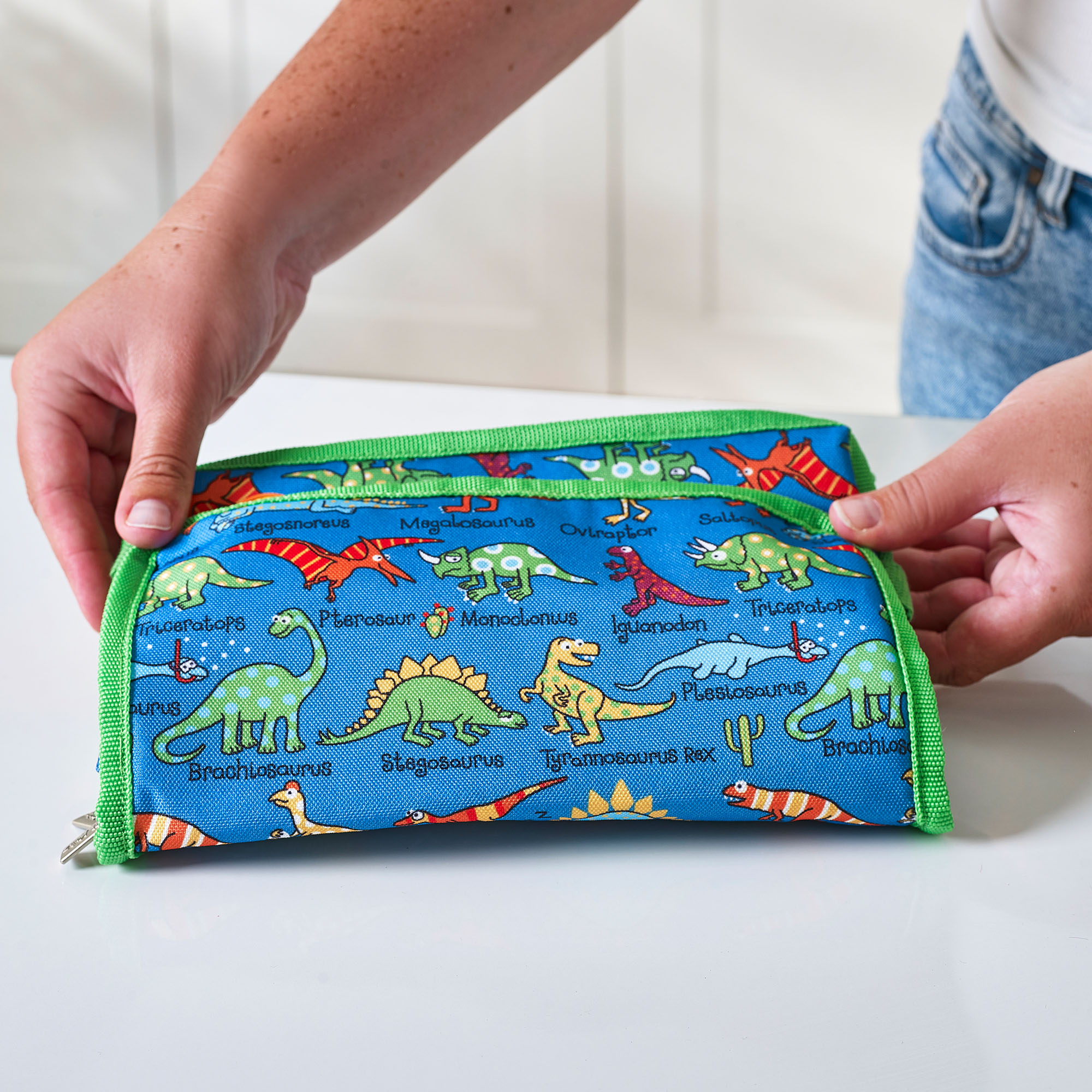 Dinosaurs Folding Lunch Tote